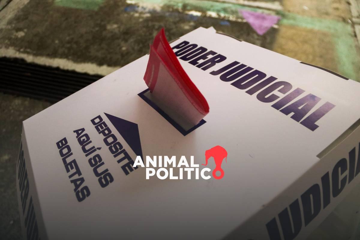 “Intervención no fue un acto aislado”: organizaciones concluyen que el Estado no actuó con imparcialidad en elección judicial